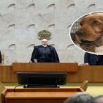 Posvojil je deklico. 23 let pozneje, na njeni poroki, je izvedel pravo resnico o njej …